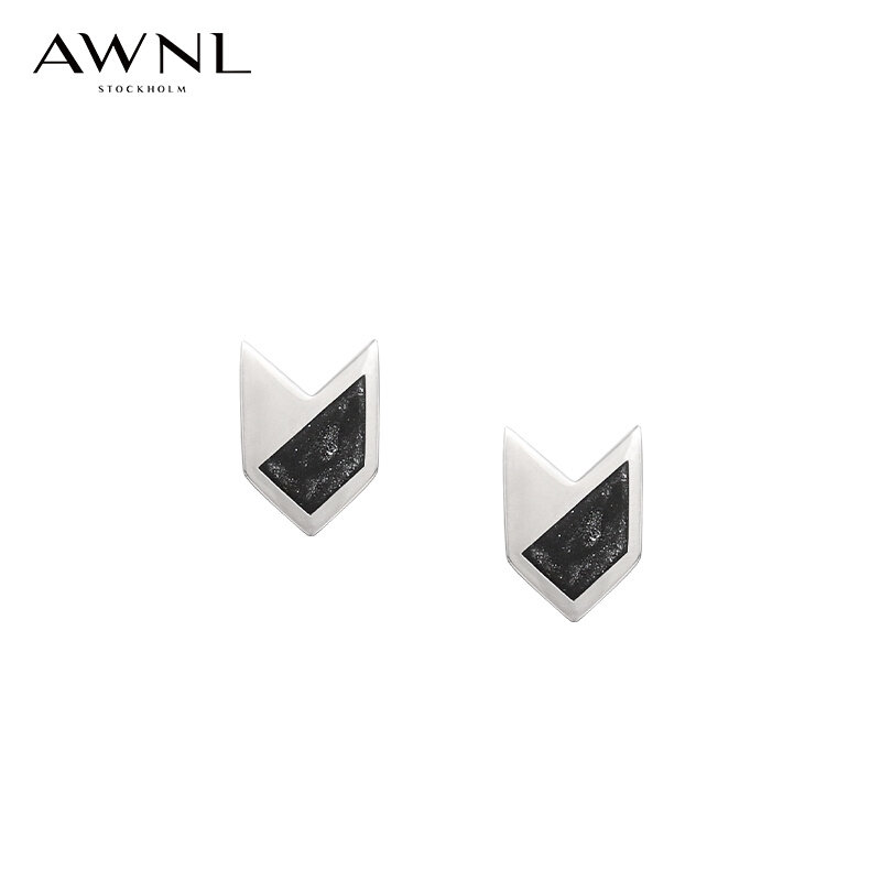 AWNL Interstellar Black Hole Couple Ear Pin s925 Silver Niche Design Light Extravagant Romantic Birthday Present