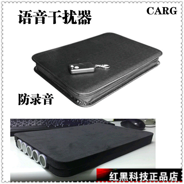 The Voice Interference