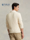 Ralph Lauren Men's Cute Knitted Sweater