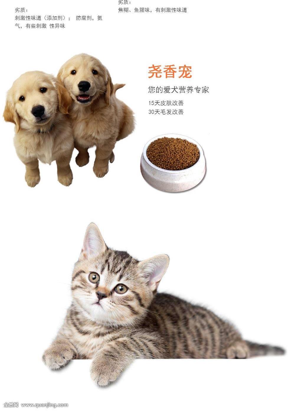 Cá hồi thú cưng xạ hương 1,5kg Anh ngắn tai mèo Ba Tư mèo xanh taurine protein cao phổ thực phẩm mèo gốc - Gói Singular thức ăn cho chó poodle
