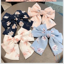 Pearl hairpin back of the head ins clip headdress hairpin Korean side clip bangs net red girl top clip word