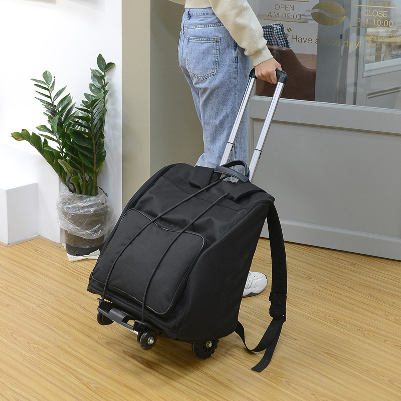 Accordion tie pulley pack backpack 120 96 60 bass parrot gold cup Baile accordion bag