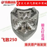 Аксессуары для мотоциклов Yamaha Motorcycle Assoy YS250 Узел, летящий к фар -свету 250 переднего фонара переднего света