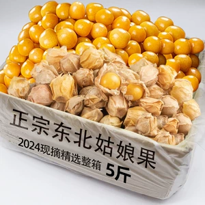 [现货东北姑娘果当季灯笼果时令水果黄菇娘甜菇娘东北特产整箱包邮]