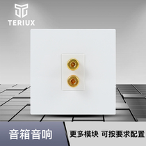 TERIUX5 1 speaker socket two-position two-head audio socket banana head interface socket speaker socket