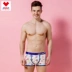 Didot cotton mùa xuân và mùa hè Lycra nam và nữ võ sĩ liền mạch đồ lót cặp đôi phim hoạt hình Quà tặng ngày Valentine Cặp đôi