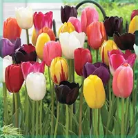 Модель смешанного цвета