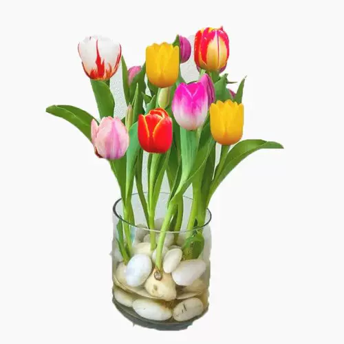 Тюльпан горшечные растения с цветочными почками и выращиванием воды в четыре сезона Тюльпан посадка цветочные растения гостиная зеленые растения цветы легко поднять