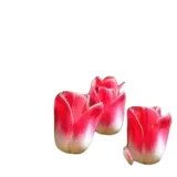 Горшечные тюльпаны с бутонами, гидропонные цветы, комнатные и уличные морозостойкие растения, цветущие круглый год и простые в уходе.