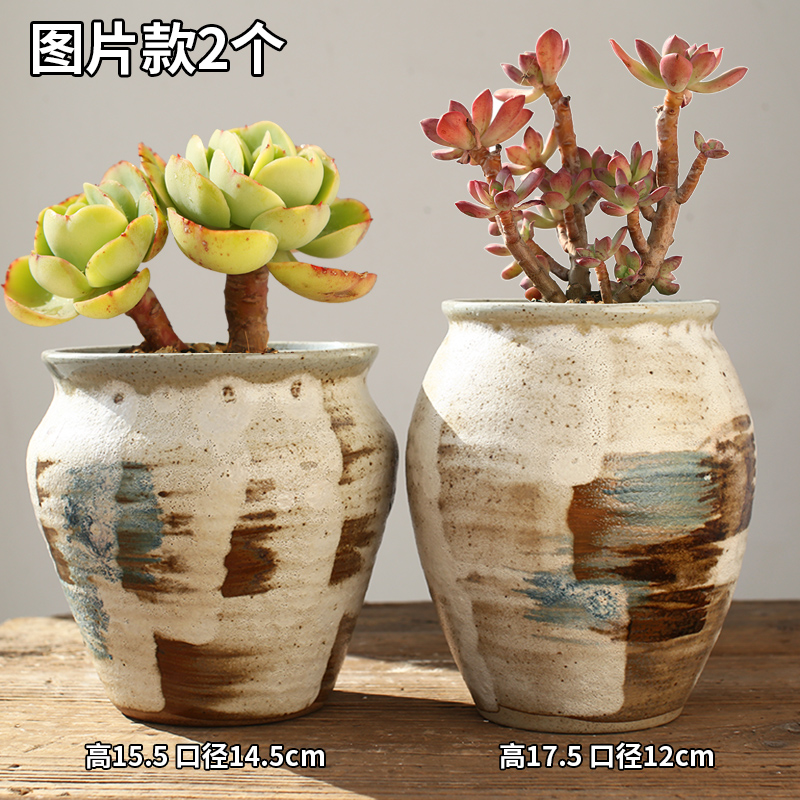 Jingdezhen old running the fleshy flower pot