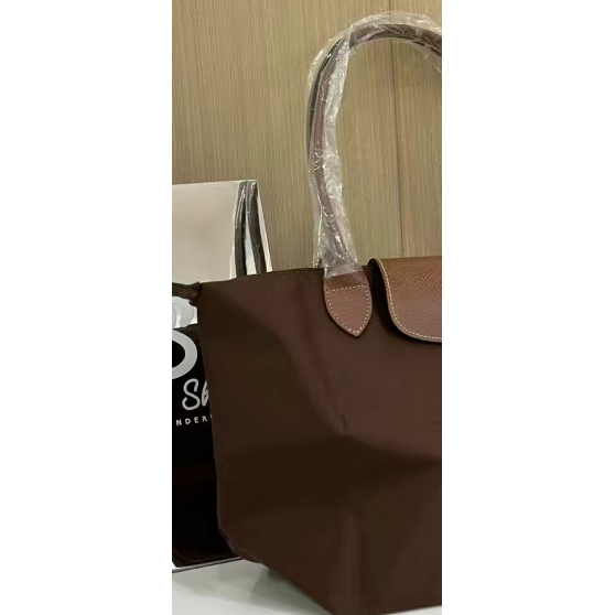 French Brand Limited-Time Discount Classic Medium-Sized Long-Handle Tote Bag Nylon Dumpling Bag Shopping Bag Shoulder Crossbody Bag