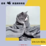 Домашние животные маленькие и средние собаки и кошки -простые и утолщенные подушки