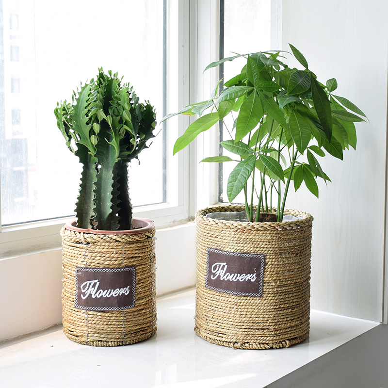 Extra-grass pot plant pot vine weaving flower garment coat with personalized living room balcony