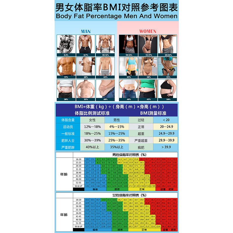 男女体脂率对照表壁纸身体脂肪百分比例参考图背景墙bmi指标墙纸 男女体脂率对照表壁纸身体脂肪百分比例参考图背景墙bmi指标墙纸