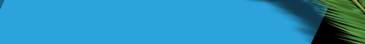 Пылеуловитель 东成官方旗舰店无刷锂电鼓风机吹风机工业级强力除尘机充电吹雪机 3409432