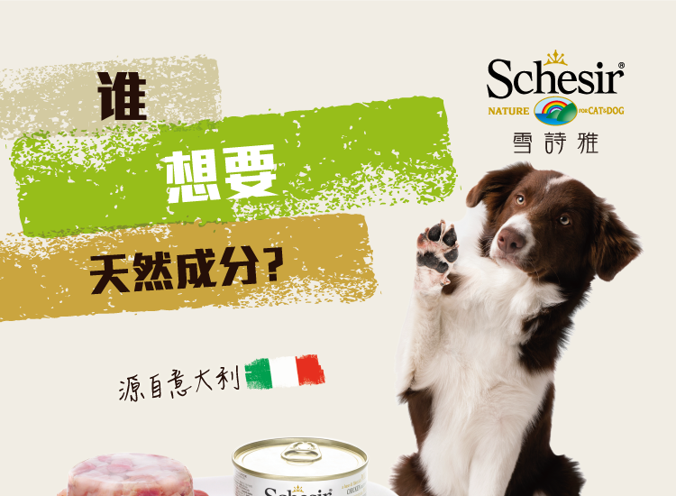 Собака закуски 大胖商店 意大利schesir彩虹雪诗雅狗罐头肉冻啫喱 单罐/超值混拼
