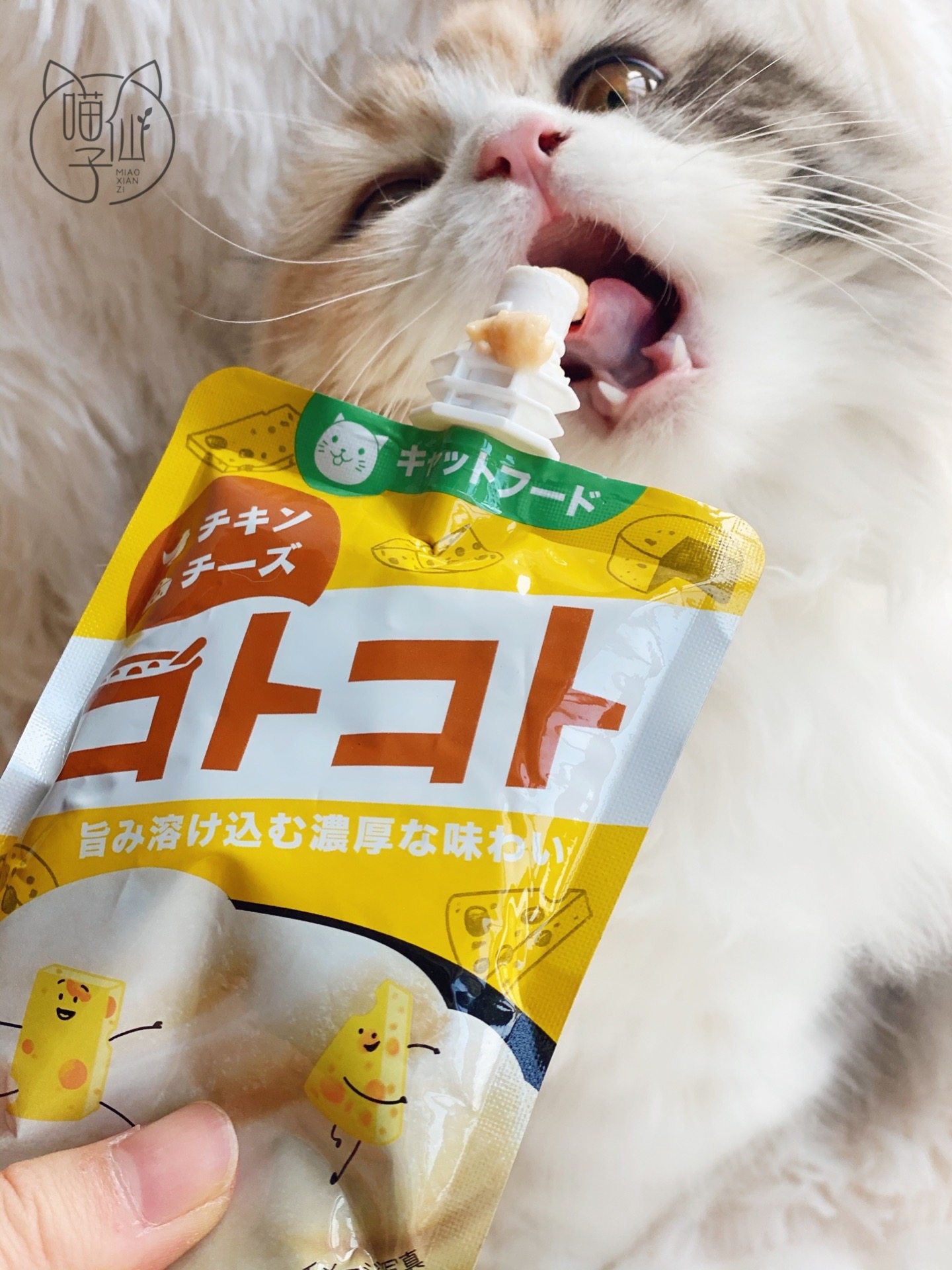 Hells Kitchen Cat Golls Sauce Seven Mud Taste Cat Snacks Pack