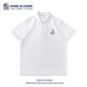 Trendy brand t-shirt 2024 summer new POLO shirt men's short-sleeved couple lapel top ins trend simple clothes