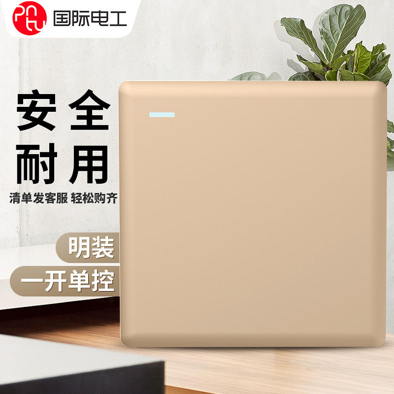 International Electrics Clear Clothing Switch Panel Champagne Gold Clear Line Single-Linked Single Open Single Control 1 Open Single Control Switch