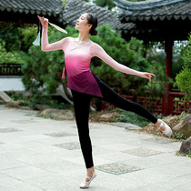 Classical dance body rhyme gauze dance practice clothes Chinese dance art test gradient womens top ballet performance nationality