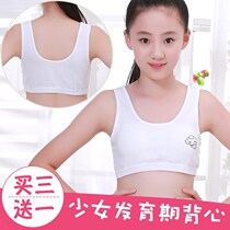 Girls underwear small vest development period 9-12 pure cotton girls bra cover 10 children primary school students 13 children 15 