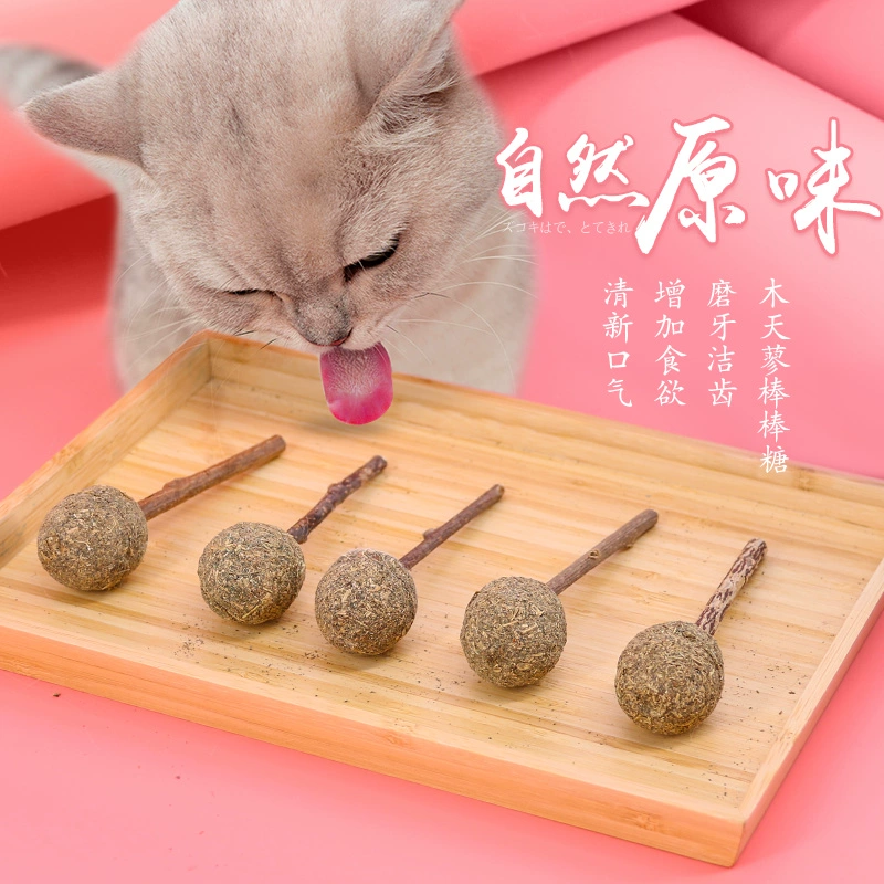 Catnip Lollipop Funny Cat Lollipop Ball Cat Toy Cat Molar Stick Mèo con Mèo cung cấp Catnip Candy - Mèo / Chó Đồ chơi