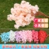 Mô phỏng hoa anh đào cành cây hoa nhựa trang trí đám cưới hoa đào hoa lê phòng khách sàn cây nho hoa giả mây - Hoa nhân tạo / Cây / Trái cây Hoa nhân tạo / Cây / Trái cây