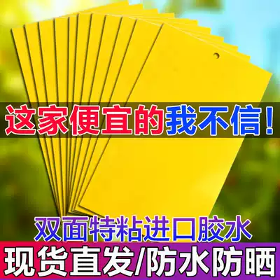 Yellow plate trap double-sided sticky insect board blue board paper paste yellow small flying insects dip fruit fly sticky board Orchard thrips Orchard thrips greenhouse