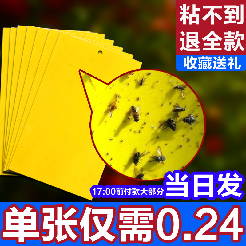 Double sided adhesive insect plate Yellow plate plant Trapping Plate Aphid 1 4 Inch Sleeve Wrench Black Worm Mosquito Blue Plate Orchard Thistle Horse Fruit Fly Greenhouse