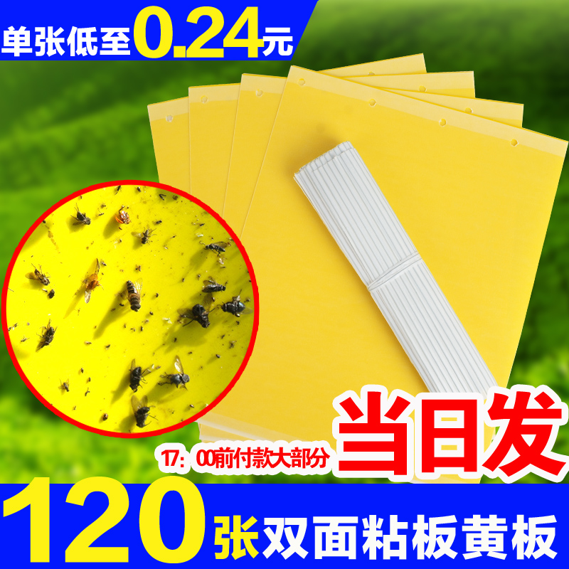 Double sided adhesive insect plate Yellow plate Bait Plate Yellow sticky insect paper aphid 1 4 inch sleeve wrench black sticky insect blue plate thistle horse fruit fly greenhouse