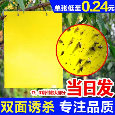 Double-sided yellow sticky worm board yellow board yellow board insect board greenhouse insect board Orchard small flying insect blue board sticky worm board