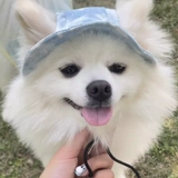 Милая шапка, зеленая солнцезащитная шляпа на солнечной энергии, защита от солнца, популярно в интернете