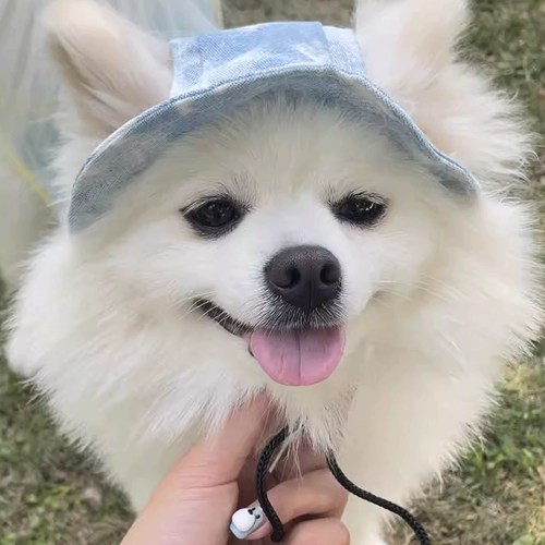 Милая шапка, зеленая солнцезащитная шляпа на солнечной энергии, защита от солнца, популярно в интернете