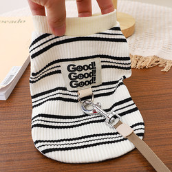 Teddy Dog Clothes, Summer and Winter Vests, Can Be Used for Walking the Dog, Autumn Clothing, Bichon Frise, Maltese, Warm Two-Legged Clothing