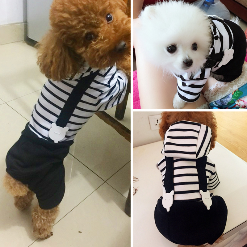 Dogs cuddling bag pants Four leggings teddy pooch Bears outfits Bear Puppies Clothing Small Dogs Pets Spring And Autumn Clothing Slim Fit