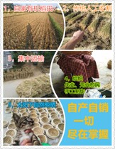 Straw rabbit grass nest grass House squirrel cat hamster guinea pig squirrel cat hamster Guinea Pig Hedgehog extra large supplies utensils