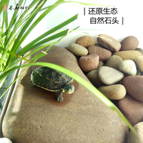 Tortoise drying platform stone climbing pet drying back stone original ecological river stone tortoise pad step stone landscaping turtle tank floating island climbing platform