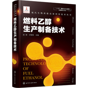 燃料乙醇生产制备技术 赵海,许敬 专业科技 能源科学 石油 天然气工业 新华书店正版图书籍化学工业出版社