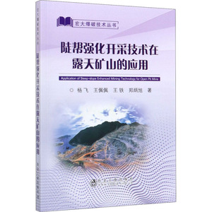 陡帮强化开采技术在露天矿山的应用 杨飞 等 著 专业科技 冶金、地质 冶金工业 新华书店正版图书籍冶金工业出版社
