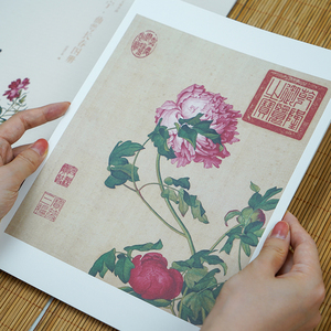 出类艺术大家小品 郎世宁·仙萼长春图册 出类艺术 艺术 工艺美术（新） 新华书店正版图书籍浙江人民美术出版社