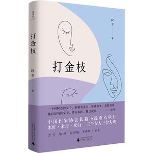 打金枝 阿袁 著 文学 中国现当代文学 现代/当代文学 新华书店正版图书籍广西师范大学出版社