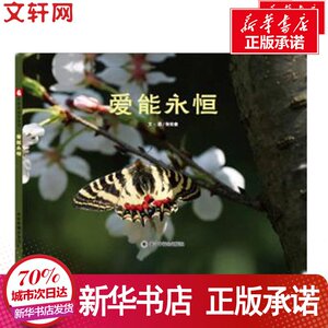 孙俪微博推荐:爱能永恒 精装硬皮绘本儿童睡前故事书3-4-5-6-7岁儿童时代图画书中国福利会出版社经典系列幼儿绘本阅读 亲子儿童绘
