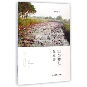 因为梦见你离开/张怡微作品 张怡微 著 文学 中国近代随笔 新华书店正版图书籍山东画报出版社
