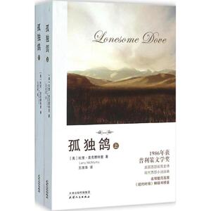 孤独鸽 (美)拉里· 文学 外国现当代文学 现代/当代文学 新华书店正版图书籍天津人民出版社