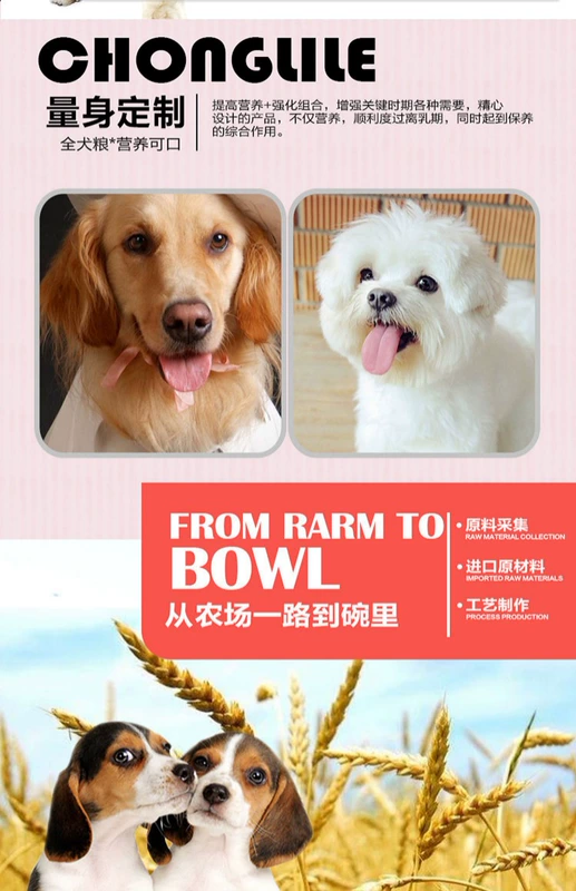 Tân Cương thịt bò chiến đấu đôi thức ăn cho chó loại chung 20kg40 kg Jin Mao Teddy chó trưởng thành chó con chó giống chó thức ăn - Chó Staples hạt zenith cho chó con