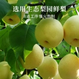 食味的初相 Qiu li moblement lollipop 8 детей ручной работы Qiu li p Китай сахар здоровый закуски конфеты закуски