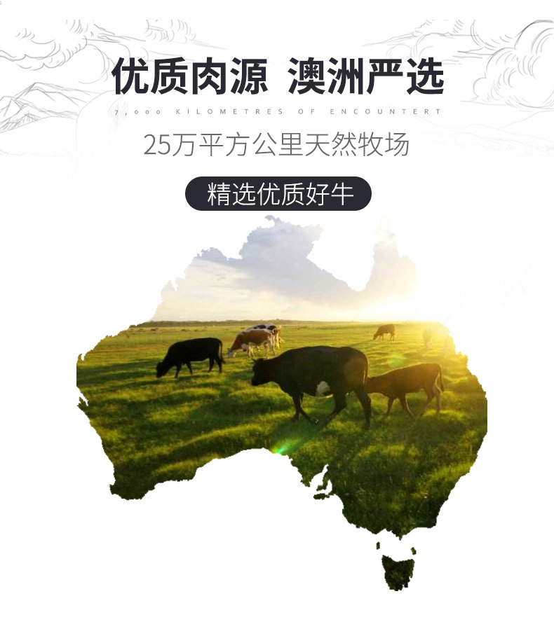 上合组织峰会供应商 正是 澳洲进口儿童牛排 100g*10片 图12
