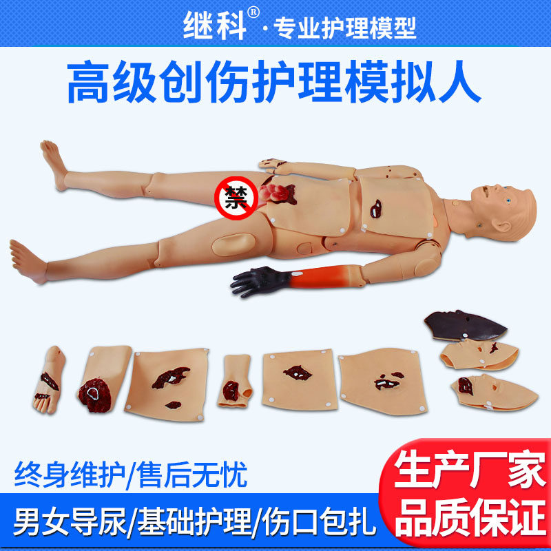 高级全功能创伤护理模拟人止血包扎输液手臂模拟伤口烧伤模块