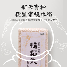 义远生态鸭稻米软糯香米