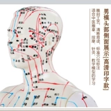 可孚 Медицинское физиологичное иглоукалывание, манекен головы, прозрачные минифигурки подходит для мужчин и женщин, обучение, 50см